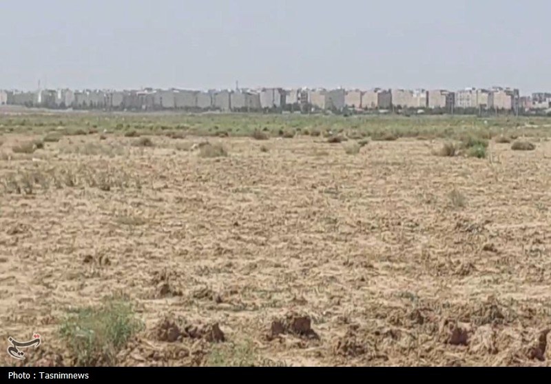 زخم آرامستان جدید تهران بر قلب کشاورزی نسیم‌شهر