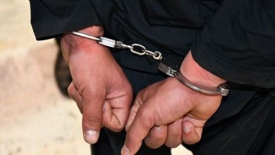 دستگیری فردی که با پرتاب آجر موجب مرگ یک نفر در ملارد شد
