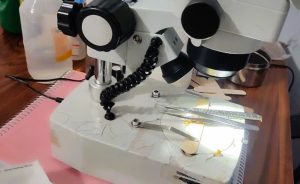پلمب ۲ مرکز غیرمجاز درمانی در اسلامشهر
