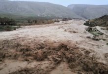 سیلاب فیروزکوه به باغات و مسکن شهری خسارت زد