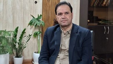 مهدی شجاع به عنوان بخشدار صفادشت منصوب شد