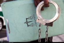 فساد ۸۰۰ میلیارد ریالی در انبار نهاده‌های دامی شهرری| باند سازمان‌یافته متلاشی شد