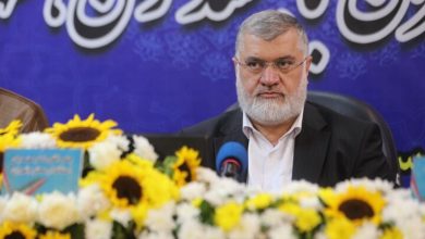 فاز دوم طرد اتباع غیرمجاز در استان تهران اجرایی می شود