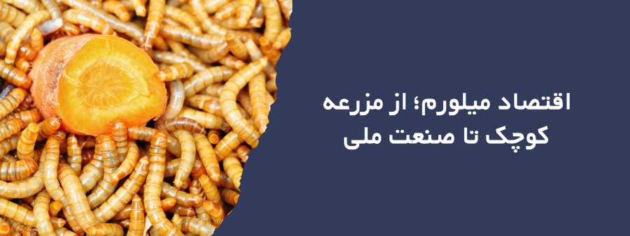 اقتصاد میلورم؛ از مزرعه کوچک تا صنعت ملی